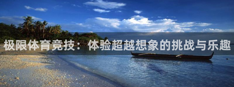 3377体育官方正版app集团logo