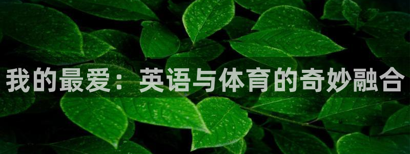 3377体育官网下载招商电话号码：我的最爱：英语与体