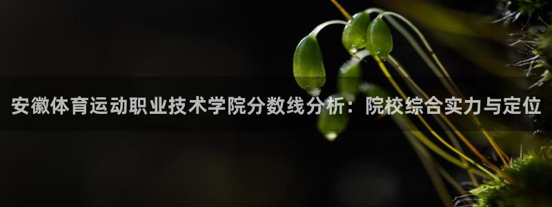 3377体育官网下载招商电话地址：安徽体育运动职业技