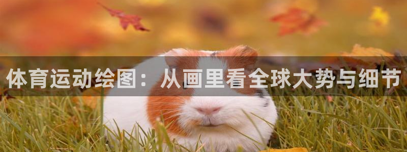 3377体育官方正版app集团：体育运动绘图：从画里