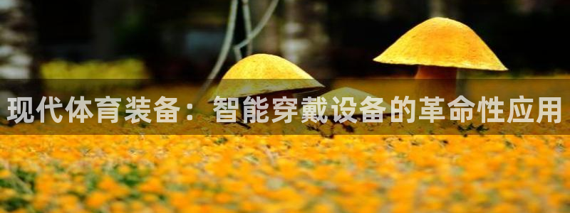3377体育官网下载官方客服电话：现代体育装备：智能