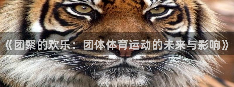 3377体育官方正版app集团官网首页网址：《团聚的