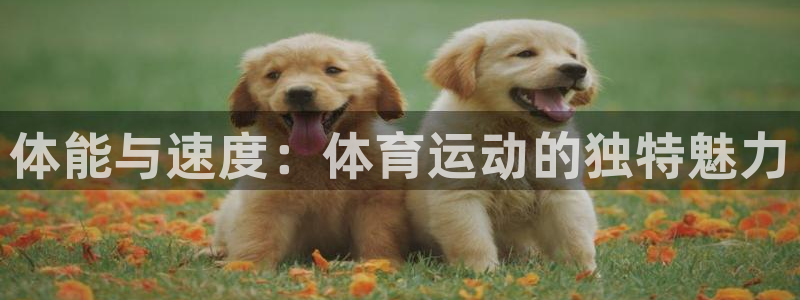 3377体育官网下载招商电话地址：体能与速度：体育运