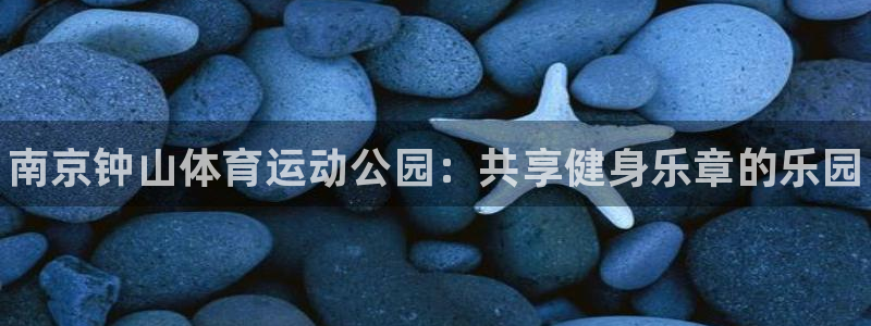 3377体育官方正版app新能源：南京钟山体育运动公
