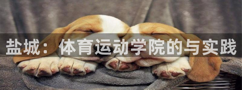 3377体育官方正版app娱乐代理怎么样：盐城：体育