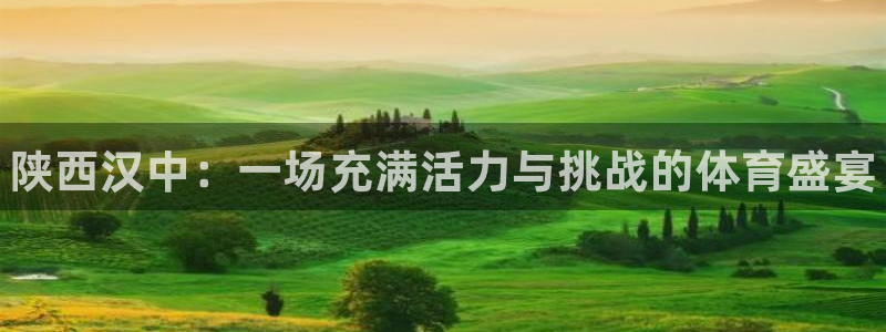 3377体育官网下载平台假的吗是真的吗：陕西汉中：一