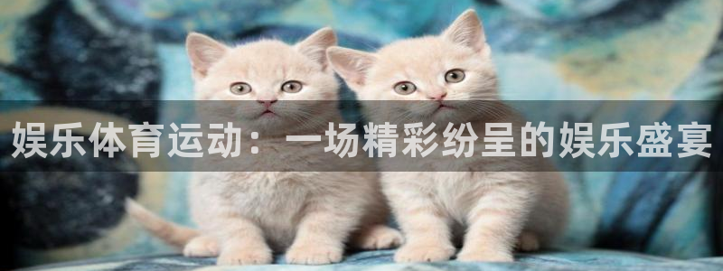 3377体育官方正版app娱乐：娱乐体育运动：一场精