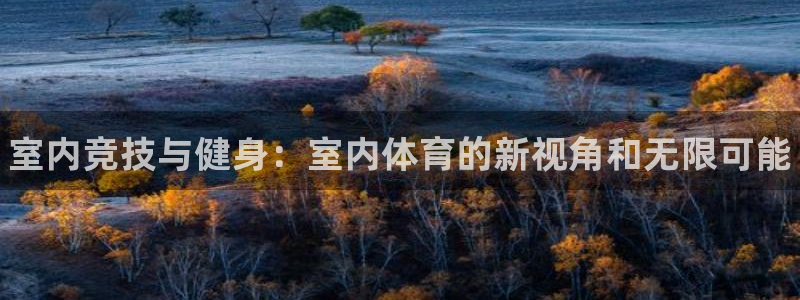 3377体育官网下载是干嘛的公司：室内竞技与健身：室内体育的