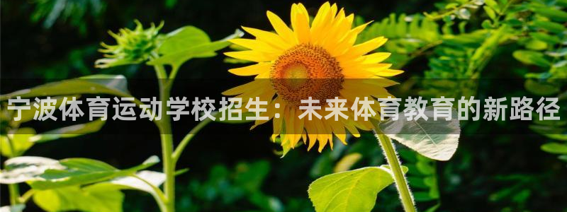 3377体育官方正版app集团logo：宁波体育运动学校招生