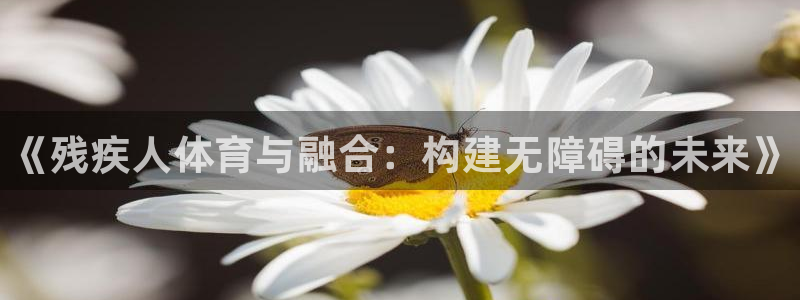 3377体育官网下载招商电话号码：《残疾人体育与融合：构建无