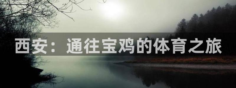 3377体育官网下载是干嘛的公司
