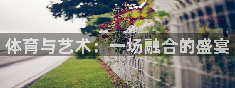 3377体育官网下载招商电话号码查询是多少：体育与艺术：一场