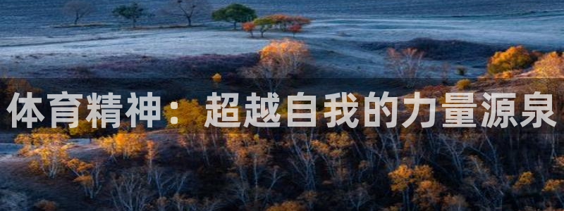 3377体育官网下载招商电话地址是多少：体育精神：超