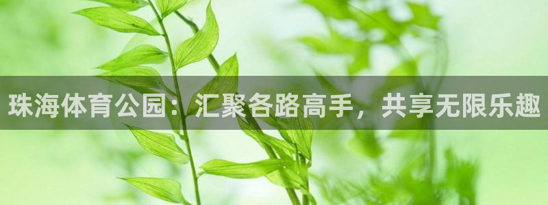 注册3377体育官方正版app：珠海体育公园：汇聚各