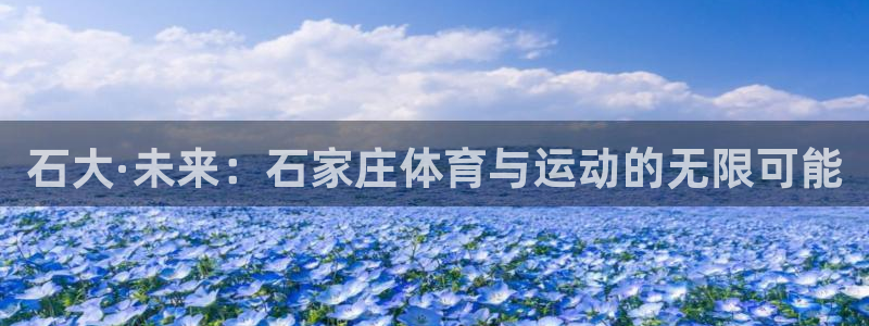 3377体育官方正版app集团：石大·未来：石家庄体