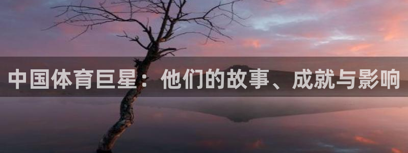 3377体育官方正版app开户：中国体育巨星：他们的