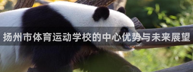 3377体育官方正版app娱乐：扬州市体育运动学校的