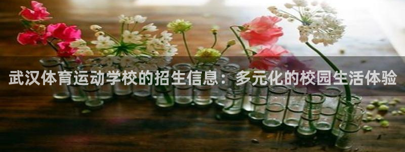 3377体育官网下载招商电话是多少号码：武汉体育运动学校的招