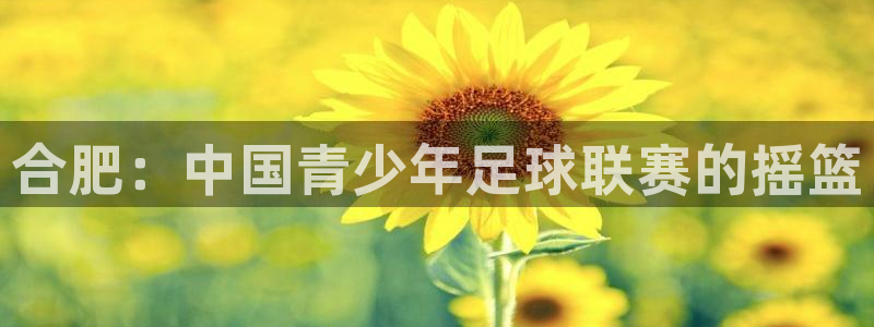 注册3377体育官方正版app：合肥：中国青少年足球联赛的摇