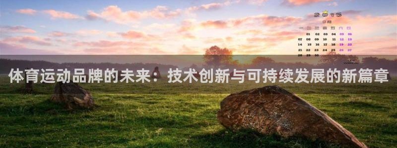 3377体育官网下载联系电话：体育运动品牌的未来：技