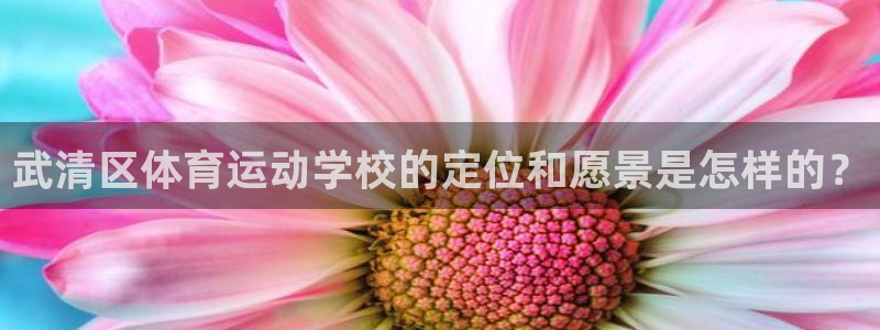 3377体育官方正版app娱乐：武清区体育运动学校的