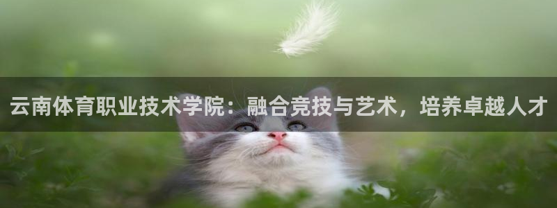 云南体育职业技术学院：融合竞技与艺术，培养卓越人才