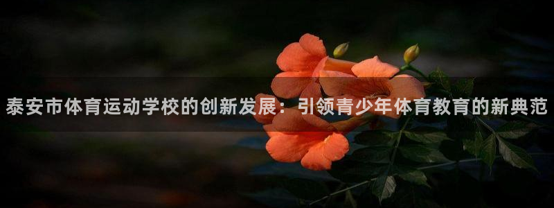 海南3377体育官网下载发展怎么样：泰安市体育运动学校的创新