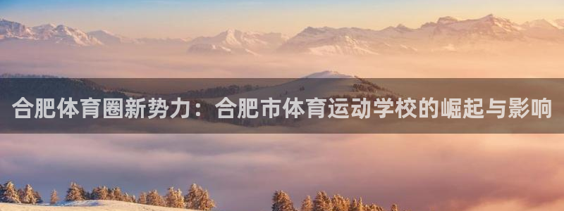 3377体育官网下载招商：合肥体育圈新势力：合肥市体