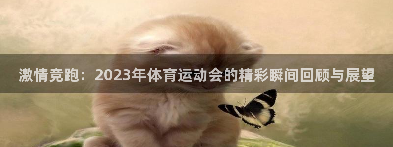 3377体育官方正版app神州：激情竞跑：2023年