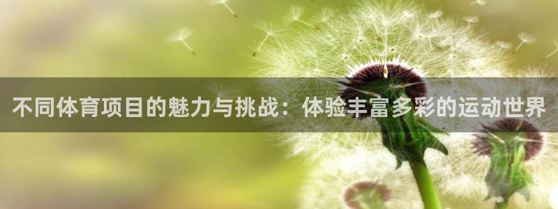 3377体育官方正版app娱乐：不同体育项目的魅力与