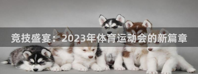 3377体育官方正版app官网：竞技盛宴：2023年