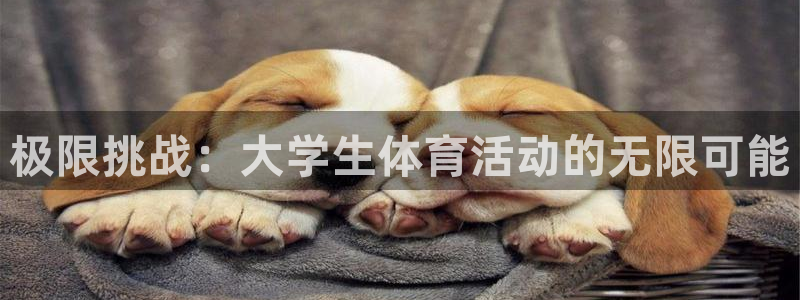 3377体育官网下载招商电话是多少啊：极限挑战：大学