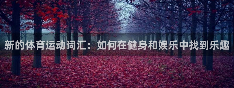 3377体育官方正版app娱乐代理怎么样：新的体育运