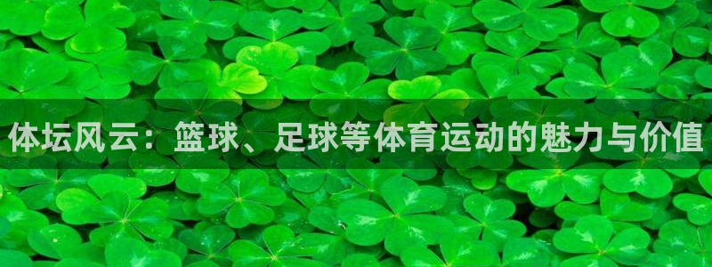 3377体育官方正版app科技