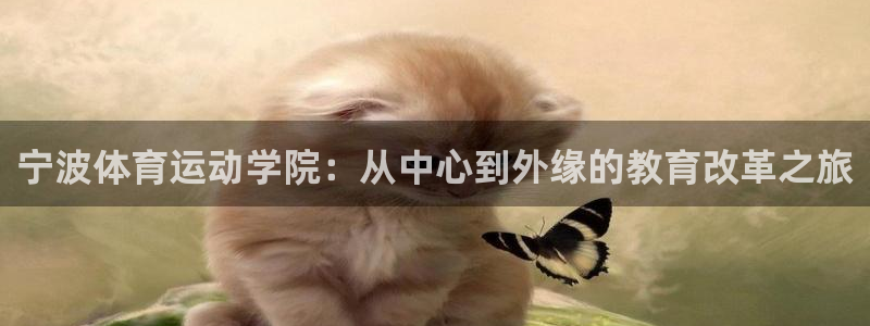 3377体育官网下载招商电话地址查询：宁波体育运动学院：从中