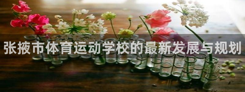 3377体育是正规平台吗