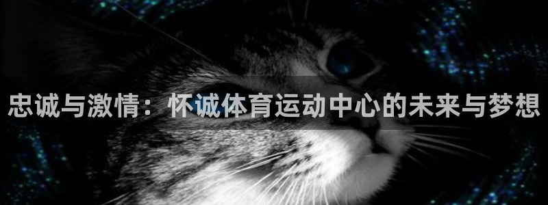  3377体育现在叫什么：忠诚与激情：怀诚体育运动中心的未来与