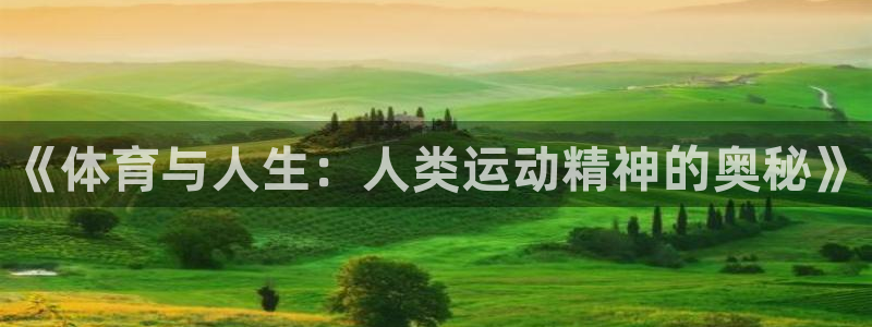 3377体育电子：《体育与人生：人类