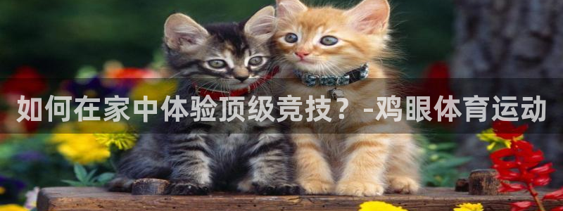  3377体育平台正规吗怎么样：如何在家中体验顶级竞技？-鸡眼