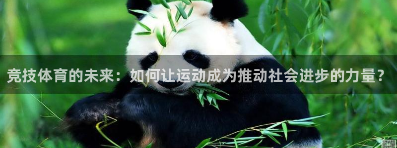 3377体育骗了多少人：竞技体育的未来：如何让运动成为推动社