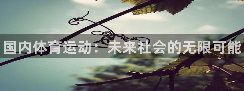 3377体育手机平台：国内体育运动：