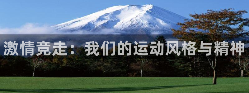 3377体育最厉害三个平台：激情竞走：我们的运动风格与精神