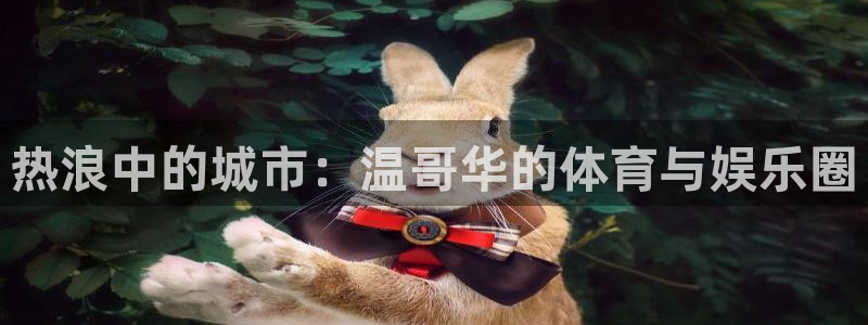  3377体育游戏：热浪中的城市：温哥华的体育与娱乐圈