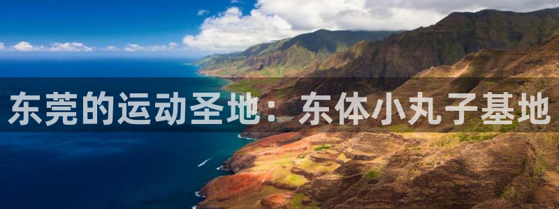 3377体育最害怕三个东西：东莞的运