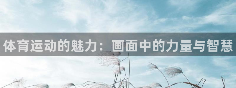 3377体育在哪个国家运营