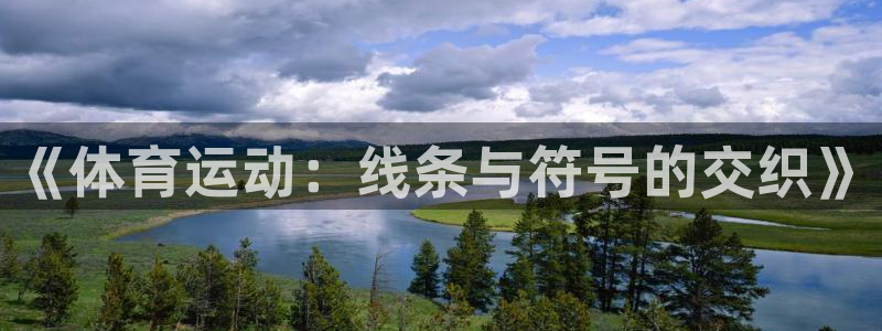 3377体育官方正版app娱乐平台：《体育运动：线条