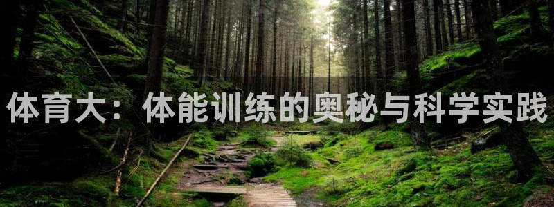 3377体育官网下载注册：体育大：体能训练的奥秘与科
