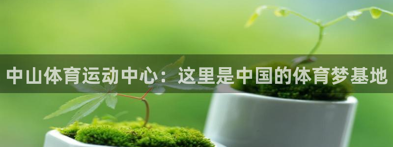 3377体育官网下载平台是正规平台吗：中山体育运动中