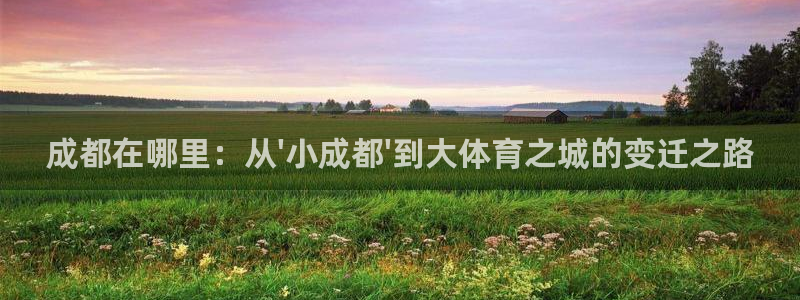 3377体育官方正版app集团：成都在哪里：从\'小成都\'